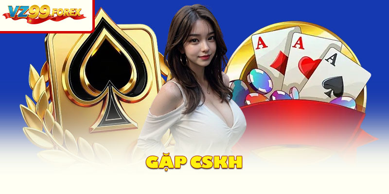 Gặp CSKH