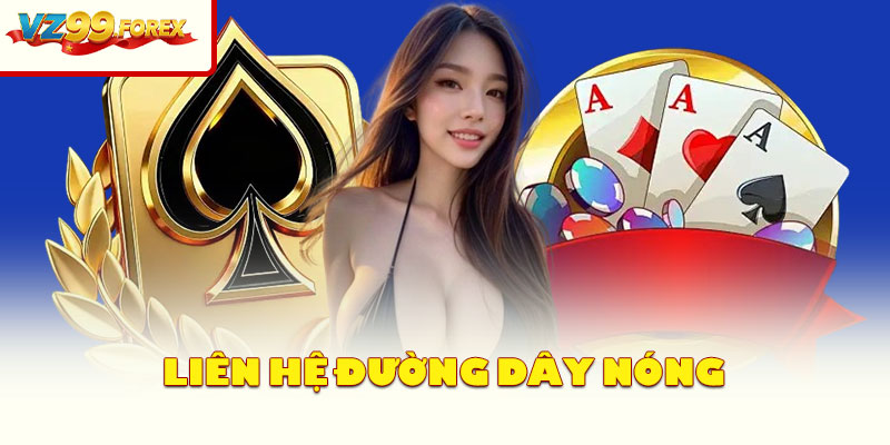 Liên Hệ Đường Dây Nóng