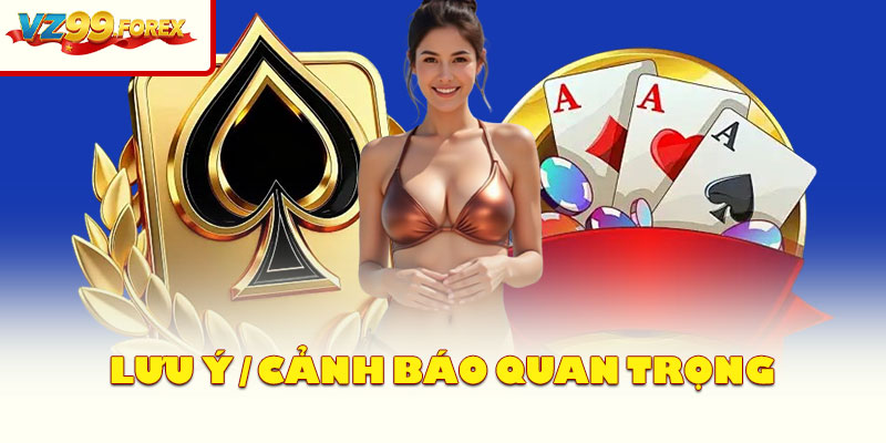 Lưu ý / cảnh báo quan trọng
