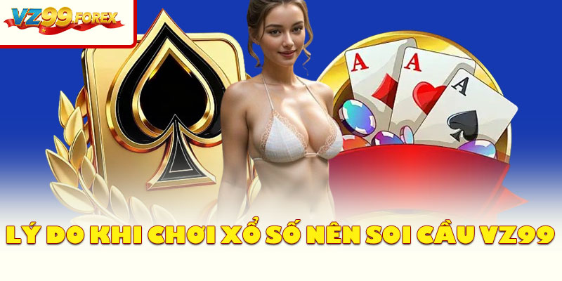 Lý Do Khi Chơi Xổ Số Nên Soi Cầu Vz99